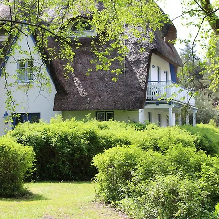 Achtern Diek Haus 12a 4 Daire